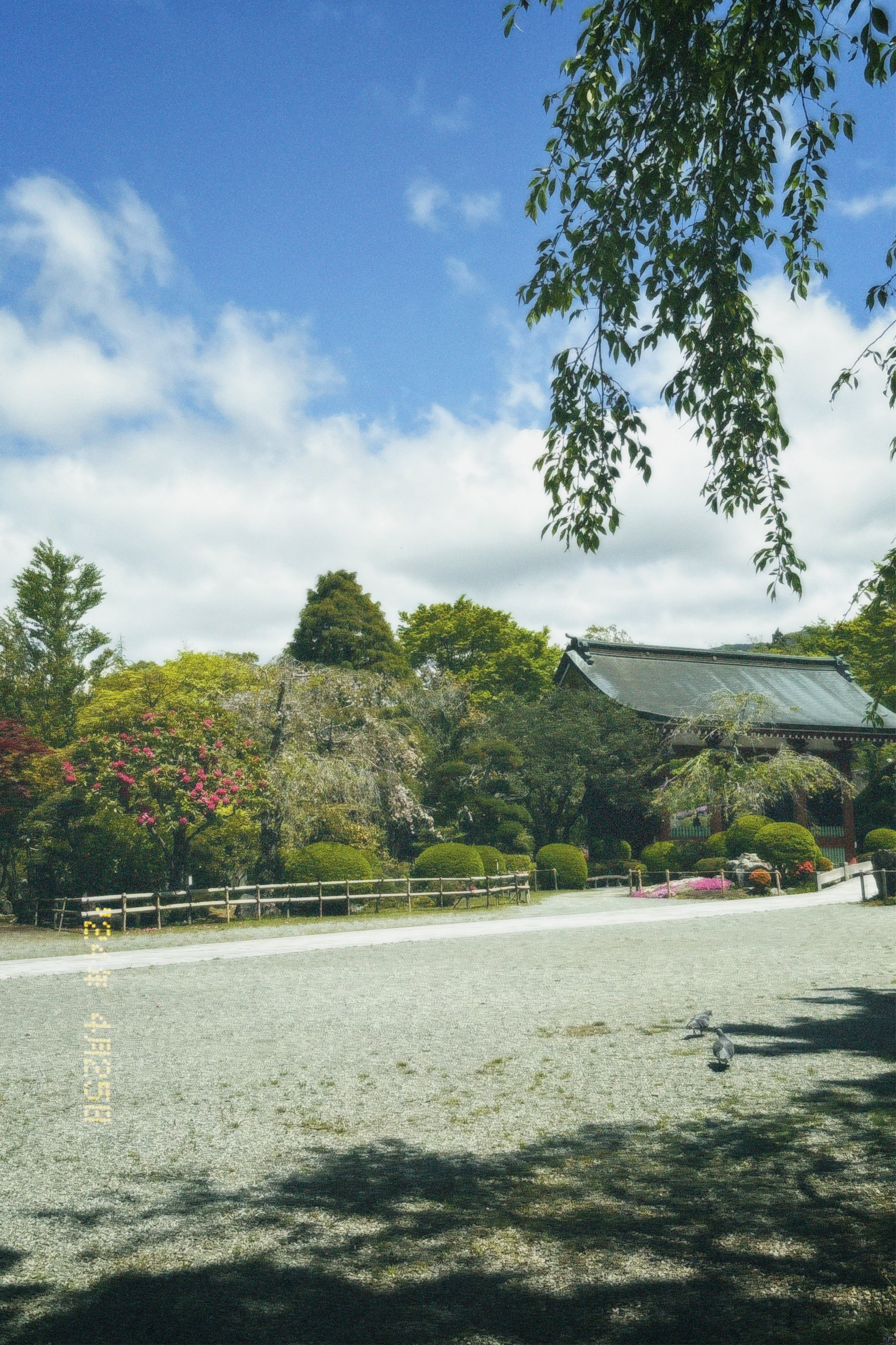 Buddhist Shrine